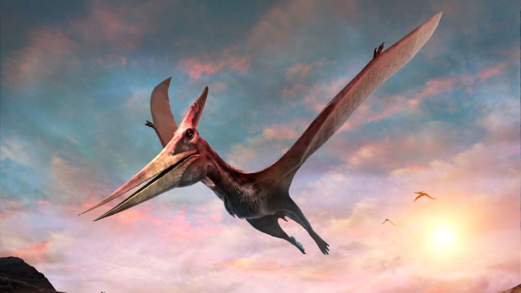 pterodactyl dinosaurus
